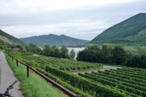 P1050038 Die schöne Wachau