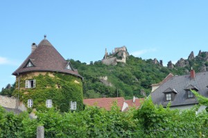 P1050040 Touristenattraktion in Spitz a.d. Donau