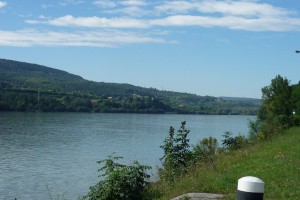 P1050042 ...
